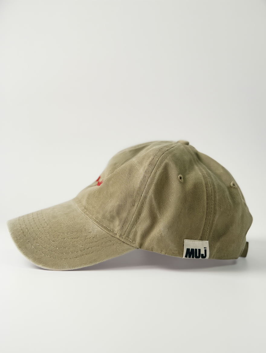 applied visa cap