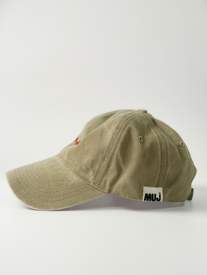 applied visa cap